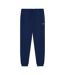 Mens slim sweatpants navy Lyle & Scott