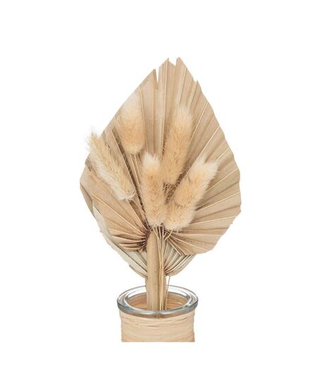 Composition de Fleurs Séchées Seav 28cm Beige