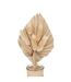Composition de Fleurs Séchées Seav 28cm Beige-2