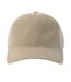 Casquette De Baseball Creep Beige Gris Atlantis Headwear-3