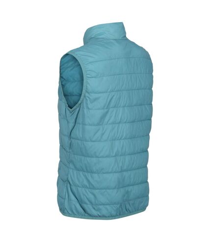 Regatta Womens/Ladies Hillpack Insulated Body Warmer (Bristol Blue) - UTRG6523