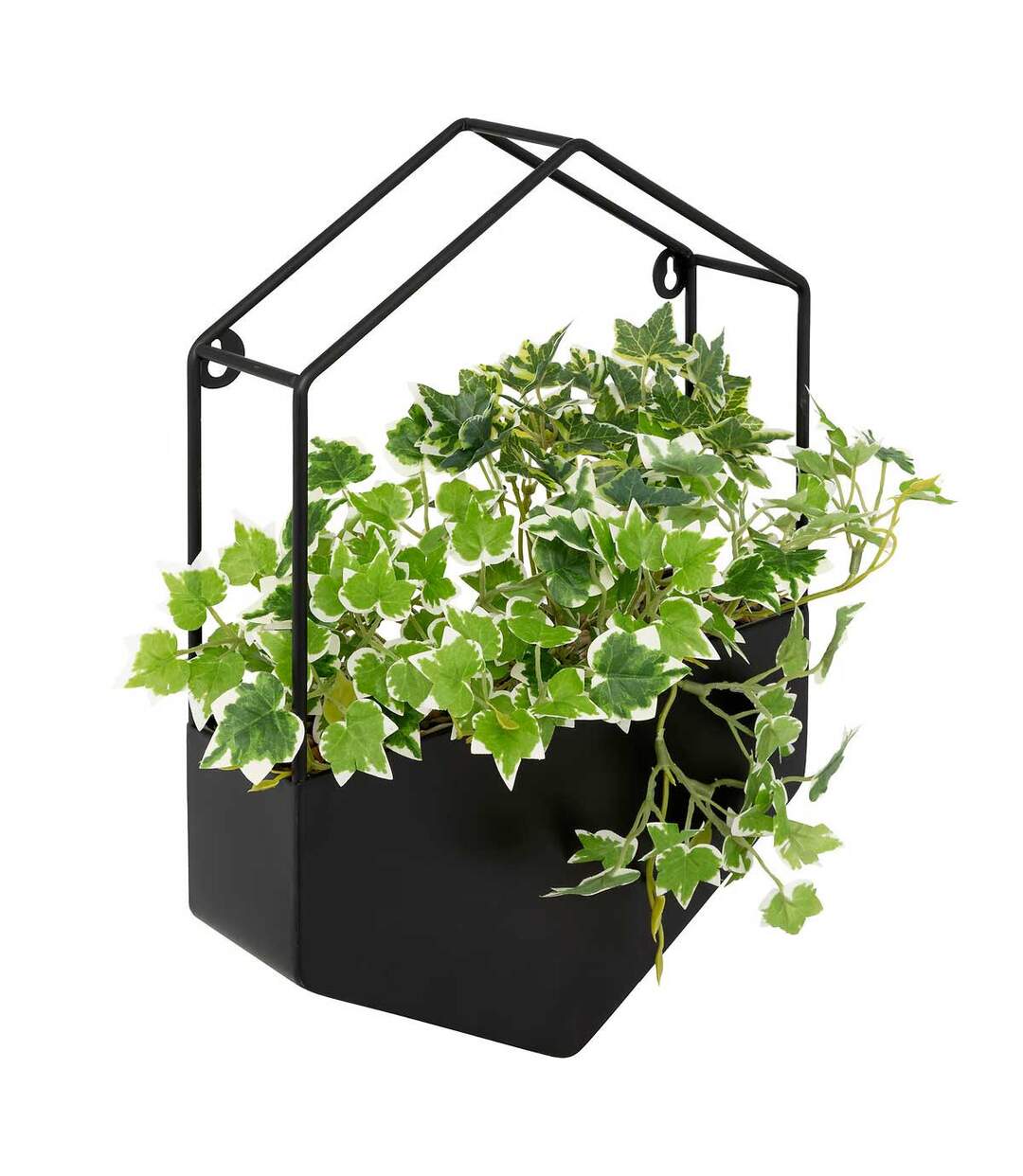 Plante Artificielle à Suspendre Curt 35cm Noir-1