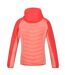 Regatta Womens/Ladies Andreson VI Insulated Jacket (Fusion Coral/Neon Peach) - UTRG6313