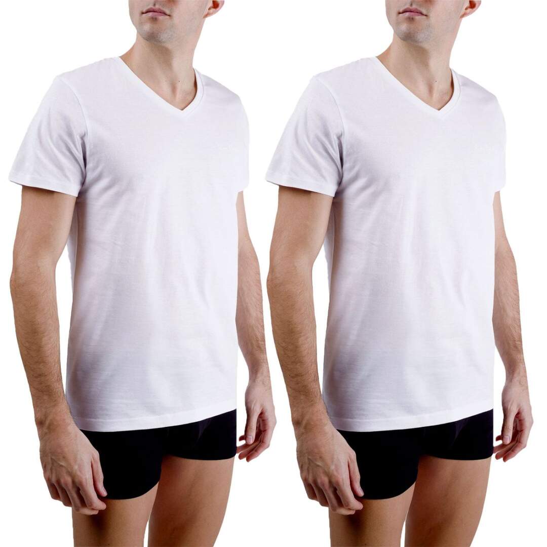 Lot de 2 t-shirts homme en col v avec broderie sur la poitrine Pierrecardin-1