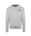 Mens Small Logo Crew Neck Long-sleeved Sweatshirt Grey Aquascutum-1