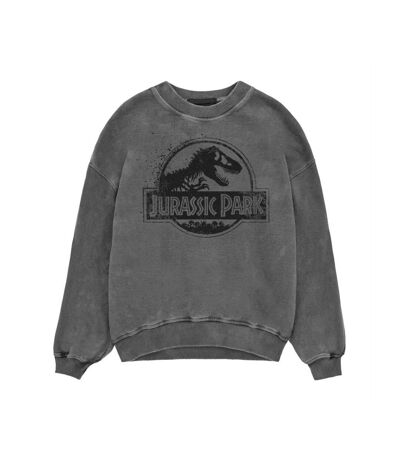 Jurassic Park Unisex Adult Spray Logo Sweatshirt (Black) - UTHE1266