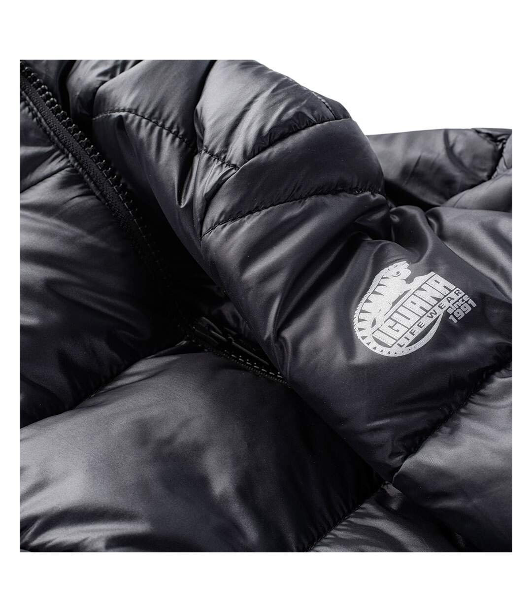 Womens/ladies Mabel Quilted Padded Jacket Black Iguana-4