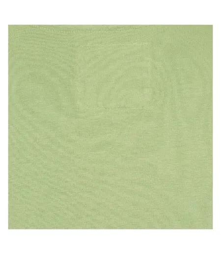 T-shirt Motif/style Imprimé Homme Vert Clair Lazy Jacks