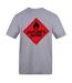 Mens Scotlands On Fire T-shirt Grey AWD-1