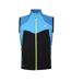 Dare 2B Mens Latitudinal Softshell Vest (Wave Ride) - UTRG8733