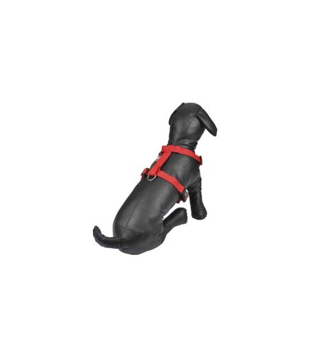 Harnais pour Chien Essentiel 50cm Rouge