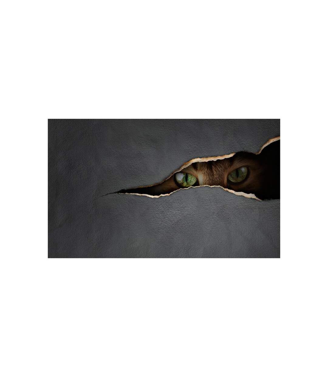 Papier Peint Regard du Chat 270x450cm-2