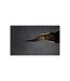 Papier Peint Regard du Chat 270x450cm-2