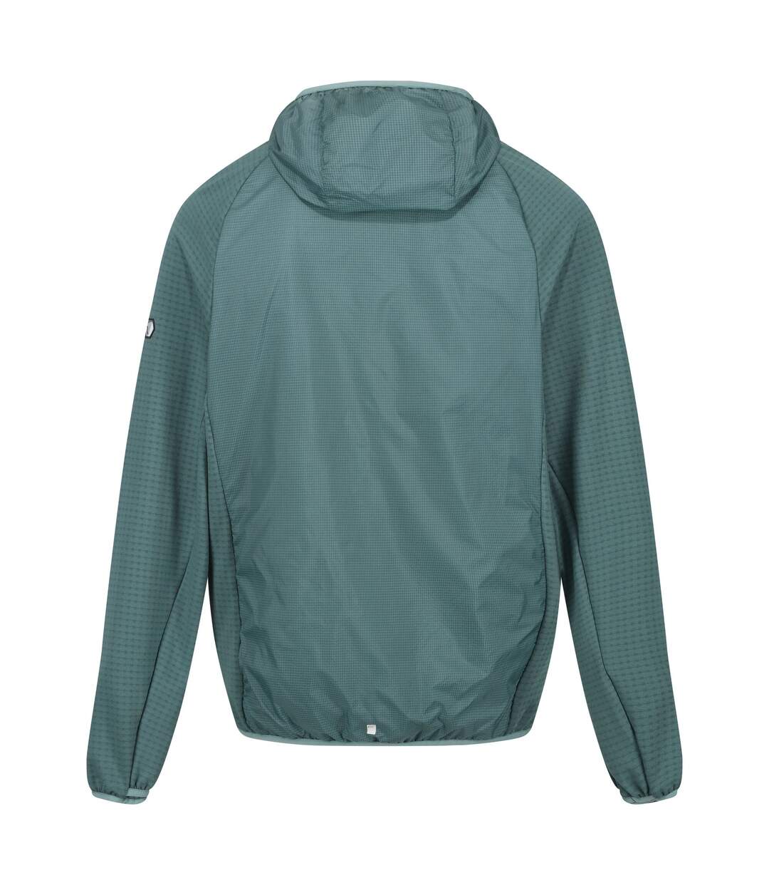 Veste softshell highton lite hybrid homme pastel turquoise / céladon Regatta Regatta