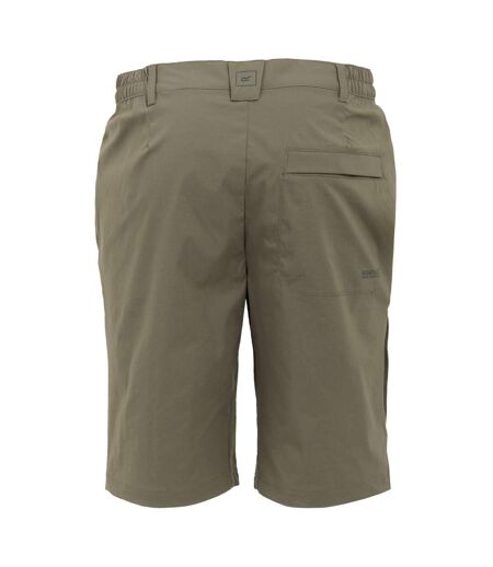 Short Décontracté Highton Homme Marron Regatta