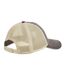 Casquette Trucker Motif/style Rétro Adulte Vieux Marron Beige Gris Beechfield-2