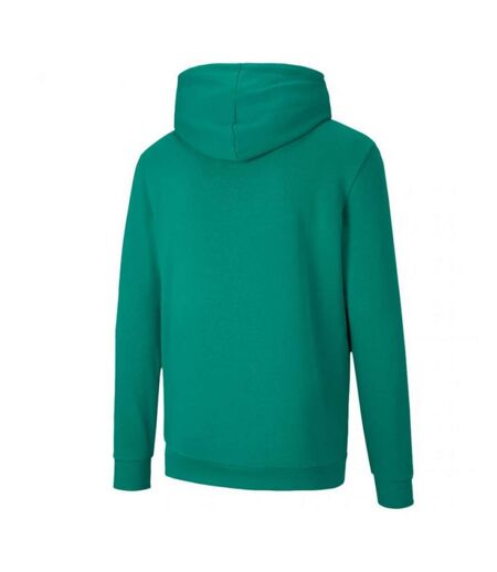 Sweat À Capuche Teamgoal Homme Vert Puma