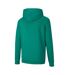 Sweat À Capuche Teamgoal Homme Vert Puma-2