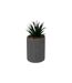 Plante Artificielle en Pot Joy 20cm Gris