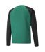 Mens Teamliga Long-sleeved T-shirt Green Black Puma-2