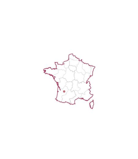 SMARTBOX - Dîner au Château et Relais des Vigiers 1 étoile au Guide MICHELIN 2021 - Coffret Cadeau Gastronomie