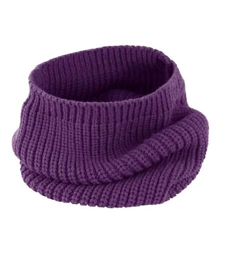 Snood Capuche Whistler Taille Unique Violet Result Winter Essentials