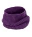 Snood Capuche Whistler Taille Unique Violet Result Winter Essentials-1