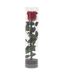 Fleur Artificielle Rose sur Tige 30cm Vert & Rouge-2