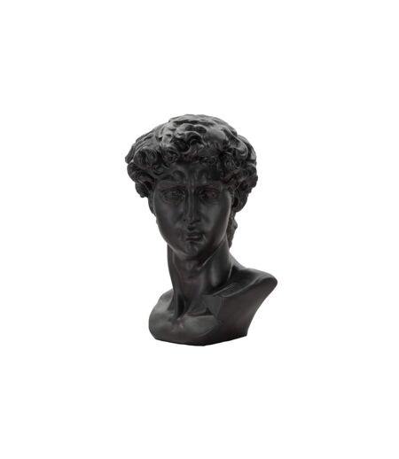 Statue Tête Homme Irvin 60cm Noir