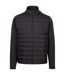 Doudoune Matelassée Orford Hybrid Homme Noir Trespass-1