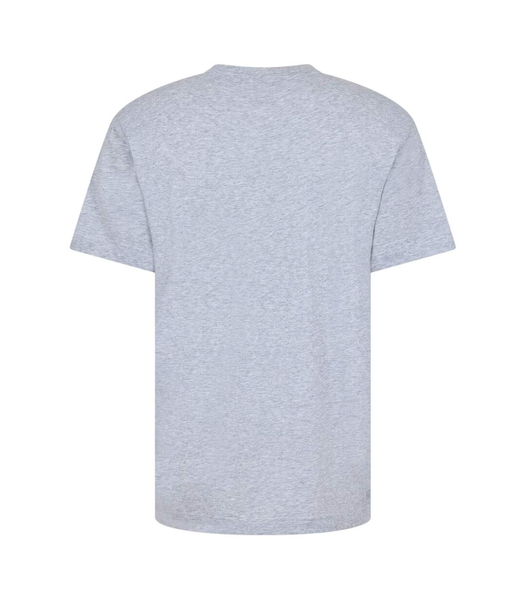 T-shirt Motif/style Imprimé Crocodile Homme Argenté Vert Lacoste-2