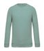 Sweat shirt coton bio - Homme - K480 - vert amande
