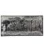 Vide-Poche en Verre Black Forest 21cm Noir-2