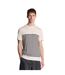 Mens Breton Stripe Breton T-shirt White Lyle & Scott-4