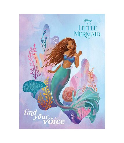 The Little Mermaid Find Your Voice Action Pose Paper Print (Multicolored) (One Size)
