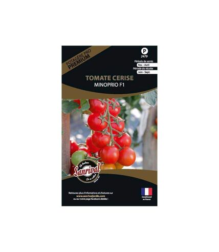 Graines potagères premium tomate Cerise Minoprio
