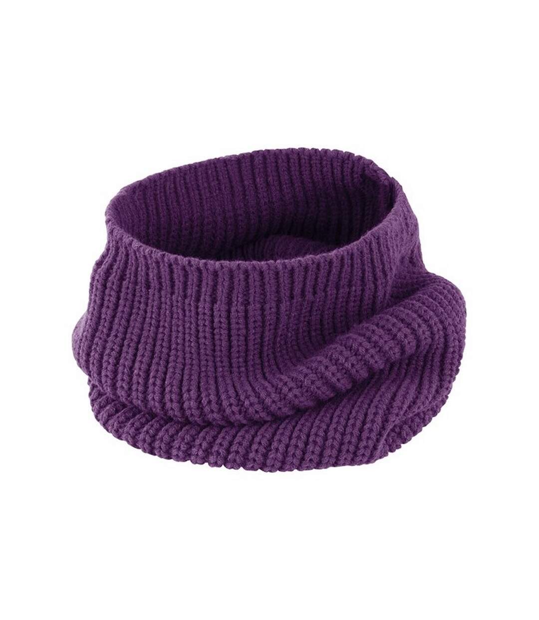 Snood capuche whistler adulte taille unique violet Result Winter Essentials-1