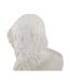 Buste Homme en Résine Sage 25cm Blanc-3