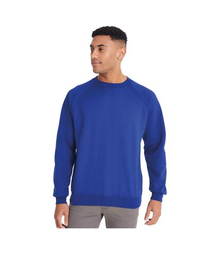Maddins Mens Colorsure Plain Crew Neck Sweatshirt (Royal)