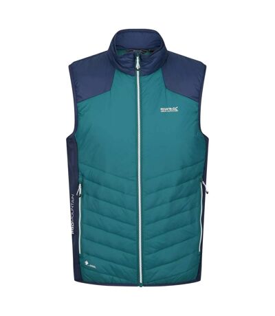 Mens halton vi lightweight body warmer pacific green/admiral blue Regatta