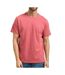 T-Shirt rose homme calvin klein jeans classics-1