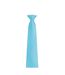 Cravate Colours Orginals Fashion 144 Cm X 10 Cm Turquoise Vif Premier-2