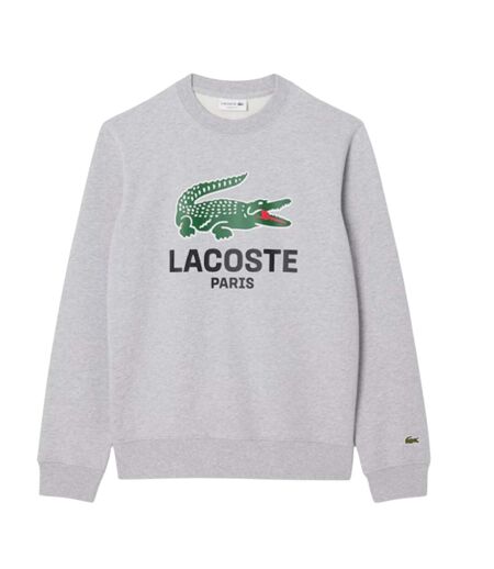 Sweat Homme Gris Lacoste