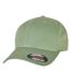 Casquette Vert De Gris Foncé Flexfit-1