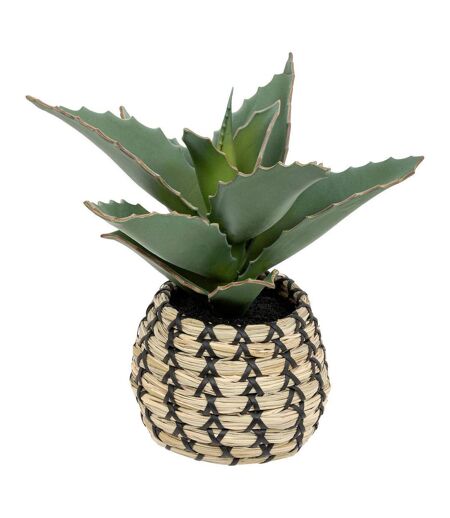 Plante Artificielle Samouraï Pio 26cm Naturel