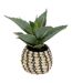 Plante Artificielle Samouraï Pio 26cm Naturel-1