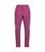 Regatta Womens/Ladies Questra IV Stretch Hiking Trousers (Amaranth Haze) - UTRG8255
