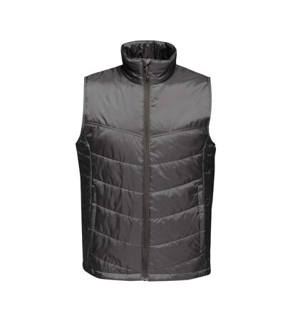 Regatta - Gilet remboure Stage - Homme (Noir) - UTBC4130