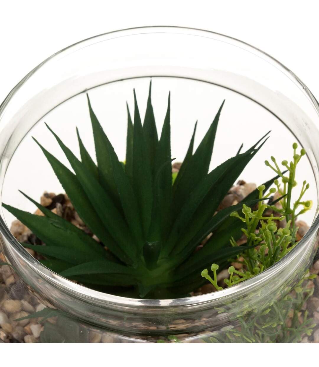 Terrarium en Verre & Bois Brito 17cm Transparent-2