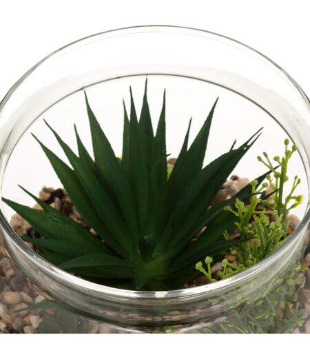 Terrarium en Verre & Bois Brito 17cm Transparent